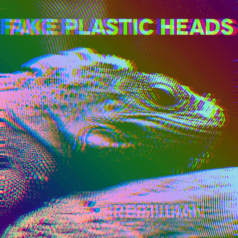 Reptile GIF