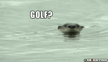 200.gif?cid=fc005b08958baebb3281647a32e92769b41ccd9bb9d3dd48&rid=200.gif&ct=g