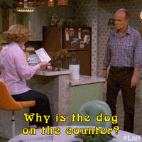That 70S Show Dog GIF by Laff
