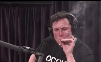 Elon Musk Weed GIF