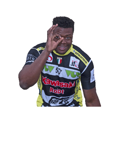 Game Sport Sticker by Rugby Calvisano