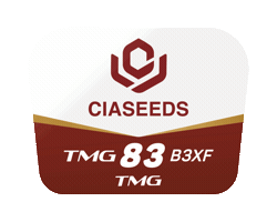 Tmg Sticker by Ciaseeds