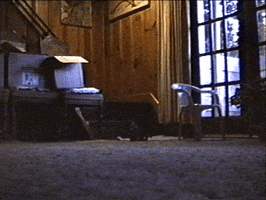 scurrying stop motion GIF by Charles Pieper