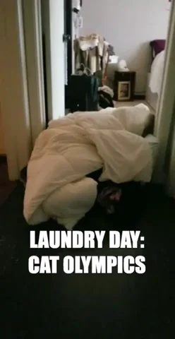 laundry day lol GIF by A Magical Mess