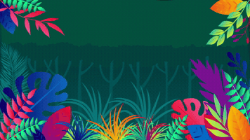 GIF by AIMEC Brasil