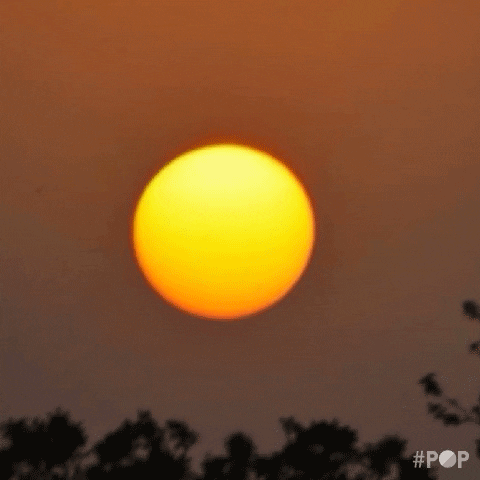 sun egg GIF by GoPop