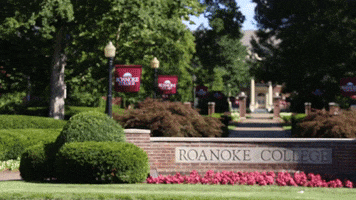dance dancing GIF by Roanoke College