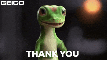 Thank You Very Much GIF by GEICO