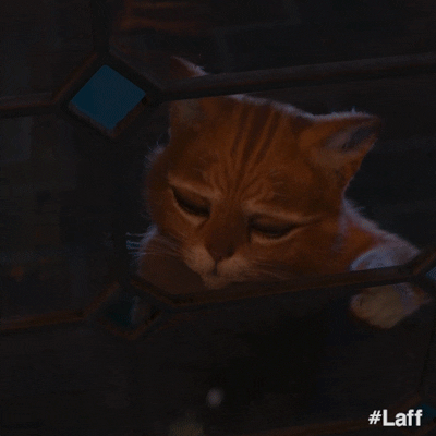 Puss In Boots Please GIF by Laff - Find & Share on GIPHY