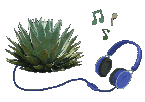 Musica Tequila Sticker by Santa Sabia Media