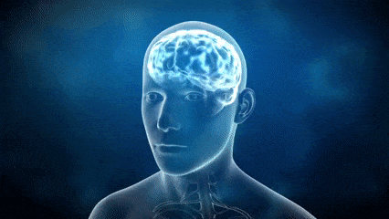 Thinking Brain GIF - Find & Share on GIPHY