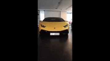 luuquy  GIF