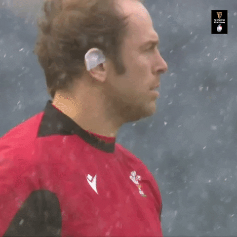 World Rugby Snow GIF by Guinness Six Nations