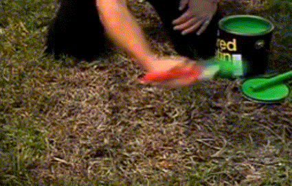 giphy.gif