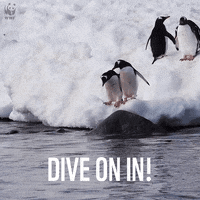 Penguins-baby GIFs - Get the best GIF on GIPHY