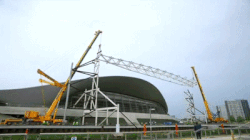 crane