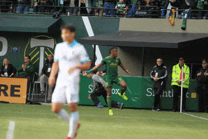 celebrate major league soccer GIF by Timbers