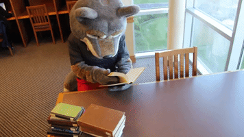 finals studying GIF by Western Oregon University
