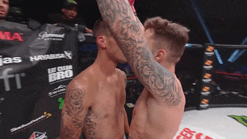martial arts fighting GIF by Bellator