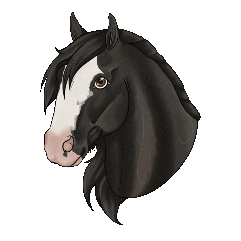 Horse Irish Sticker