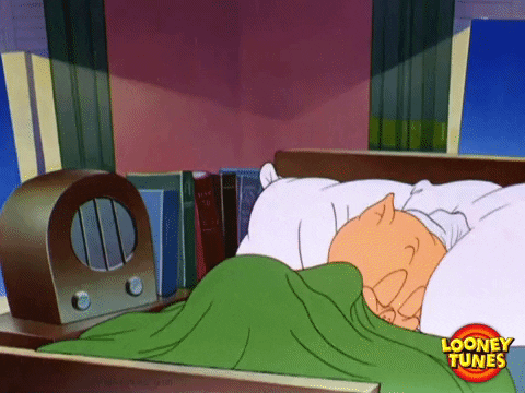 Oh No What GIF by Looney Tunes - Find & Share on GIPHY
