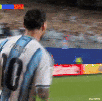 World Cup Football GIF