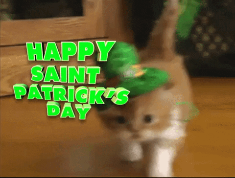 Happy Saint Patricks Day GIFs - Get the best GIF on GIPHY