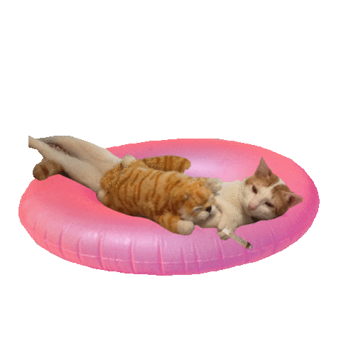 Swimming Pool Cat Sticker by Percolate Galactic