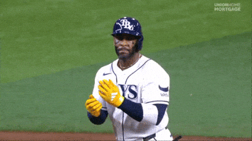 Celebrate Tampa Bay Rays GIF by MLB