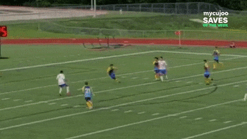 Mycujoo Great Save GIF by ELEVEN SPORTS