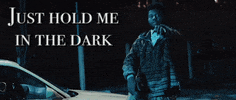 hold me in the dark GIF by Khalid