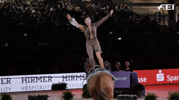 Vaulting Fei World Cup GIF by FEI Global
