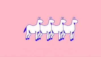 pony horses GIF by Downtown Records