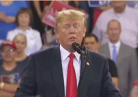 Donald Trump GIF