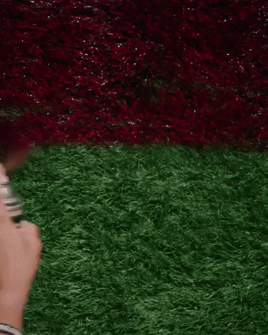 Fight On Oregon Ducks GIF