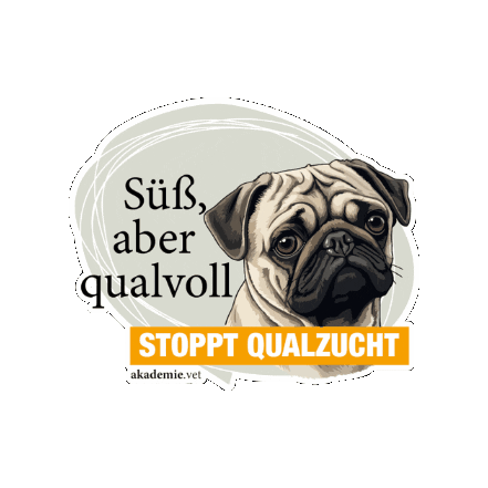 Sticker by akademievet