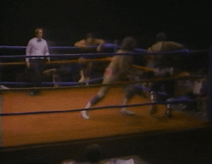 Wwe GIF