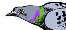 Chabd Sticker