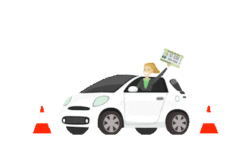 altinkumsurucukursu Sticker