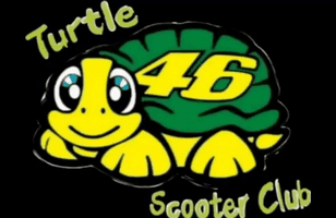 Turtles Scoooter GIF
