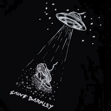 Shoes GIF by Saint Barkley