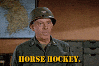 Horse Hockey GIFs - Find & Share on GIPHY