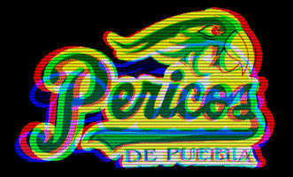 puebla pericos GIF by Liga Mexicana de Beisbol