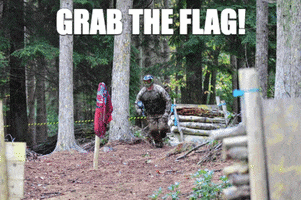 flag win GIF by Planet Eclipse