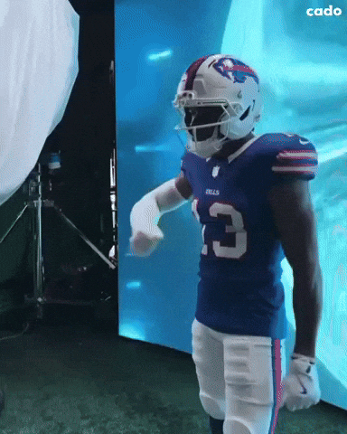 Buffalo Bills GIF