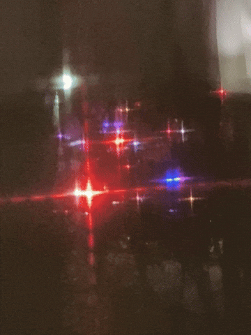 Christmas Sitens GIF