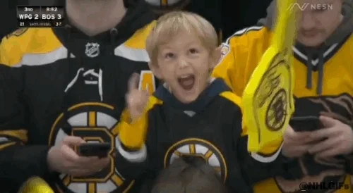 Happy Boston Bruins GIF