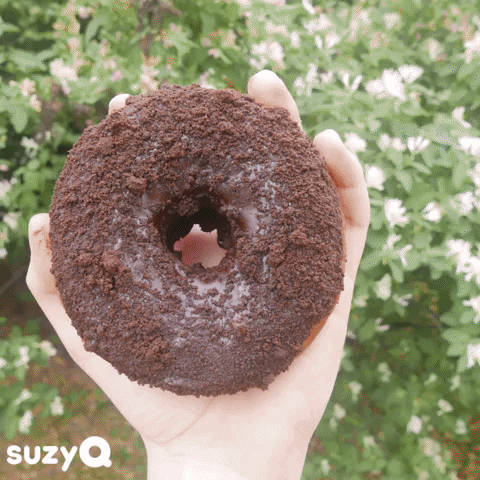 SuzyQdoughnuts chocolate donut sugar donuts GIF