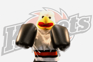 knock out fighting GIF by Fort Wayne Komets