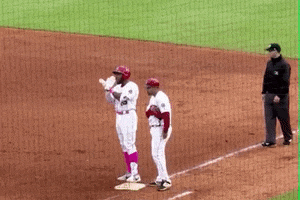 crook narciso GIF by Louisville Bats